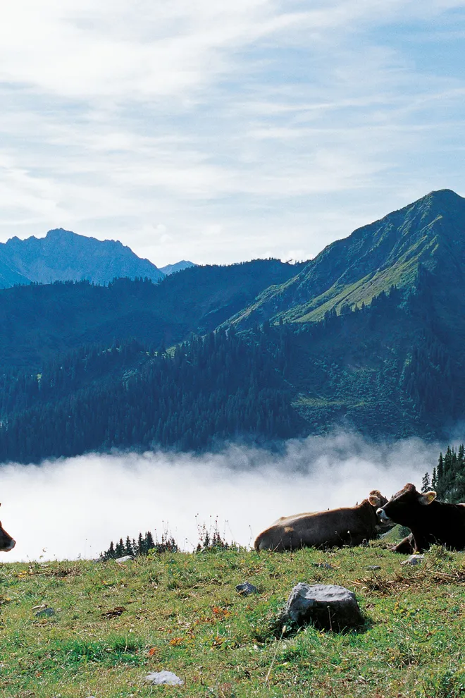 Sommerferien 2025 Sommerferien in den Allgäuer Alpen